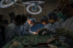 Kidney Transplant