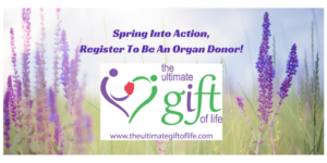 Spring Into Action